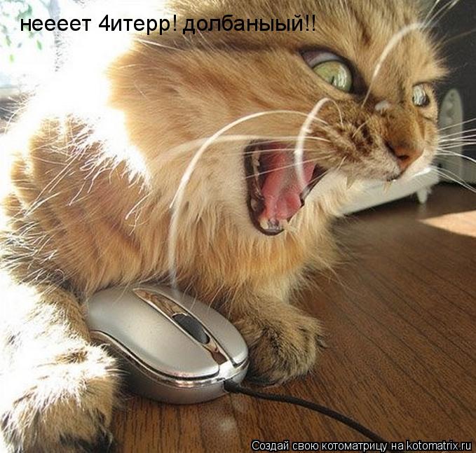 Котоматрица: неееет 4итерр! долбаныый!!