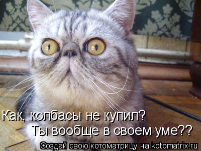 Котоматрица: Как, колбасы не купил? Ты вообще в своем уме??