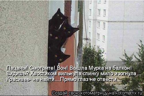 Котоматрица: Пацаны! Смотрите! Вон! Вышла Мурка на балкон! Видишь? Хвостиком вильнула,спинку мило изогнула... Красивее- не найти....Прямо глаз не отвести....