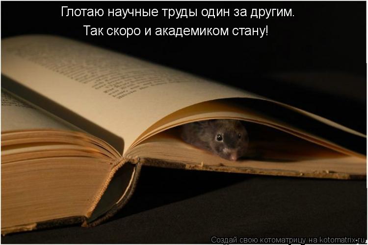 Глотаю научные труды один за другим. Так скоро и академиком стану!... Котоматрица: Глотаю научные труды один за другим. Так скоро и академиком стану!