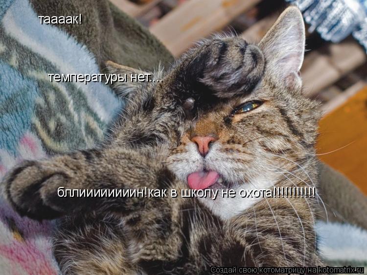 Котоматрица: таааак! температуры нет.... бллиииииииин!как в школу не охота!!!!!!!!!!!
