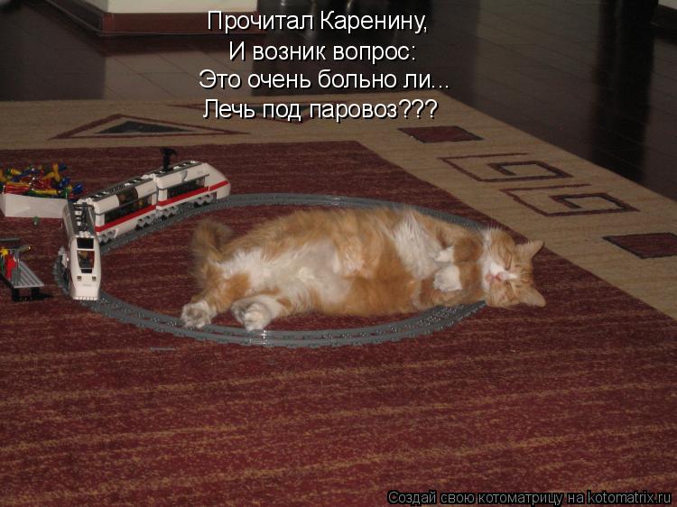Котоматрица: Прочитал Каренину,  И возник вопрос: Это очень больно ли... Лечь под паровоз???
