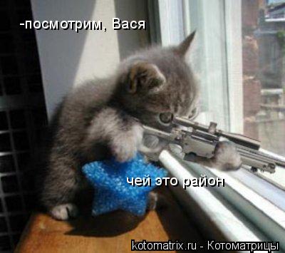 Котоматрица: -посмотрим, Вася  чей это район