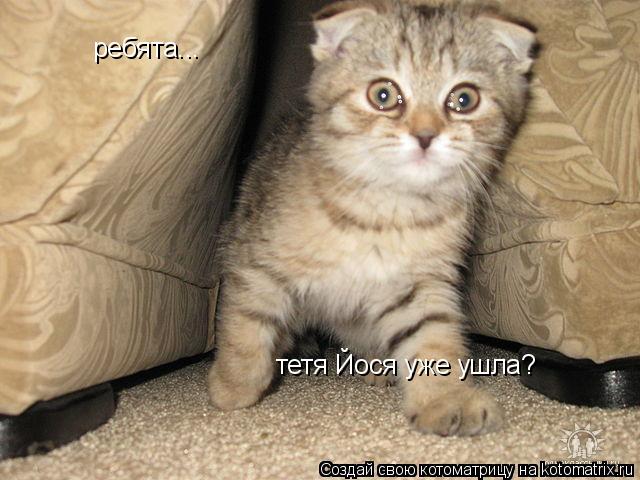 Котоматрица: ребята... тетя Йося уже ушла?