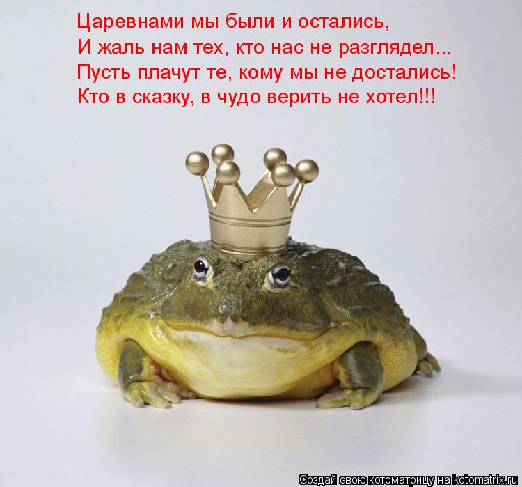 Котоматрица: Пусть плачут те, кому мы не достались! И жаль нам тех, кто нас не разглядел... Царевнами мы были и остались, Кто в сказку, в чудо верить не хотел
