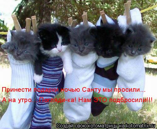 Котоматрица: А на утро... Погляди-ка! Нам ЭТО подбросили!!! Принести подарки ночью Санту мы просили...