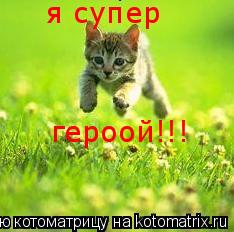 Котоматрица: я супер героой!!!