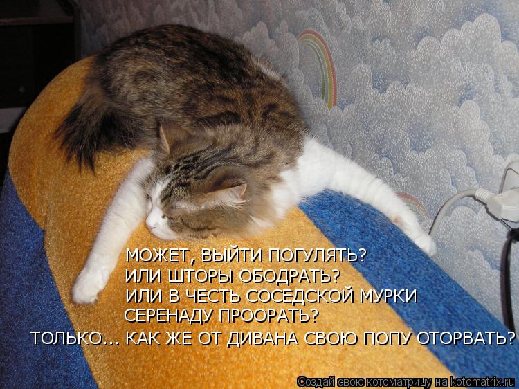 МОЖЕТ, ВЫЙТИ ПОГУЛЯТЬ? ИЛИ ШТОРЫ ОБОДРАТЬ? ИЛИ В ЧЕСТЬ СОСЕДСКОЙ МУРКИ СЕРЕНАДУ ПРООРАТЬ? ТОЛЬК... Котоматрица: МОЖЕТ, ВЫЙТИ ПОГУЛЯТЬ? ИЛИ ШТОРЫ ОБОДРАТЬ? ИЛИ В ЧЕСТЬ СОСЕДСКОЙ МУРКИ СЕРЕНАДУ ПРООРАТЬ? ТОЛЬКО... КАК ЖЕ ОТ ДИВАНА СВОЮ ПОПУ ОТОРВАТЬ?