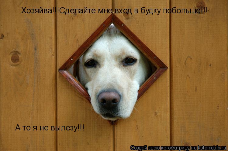 Котоматрица: Хозяйва!!!Сделайте мне вход в будку побольше!!! А то я не вылезу!!!