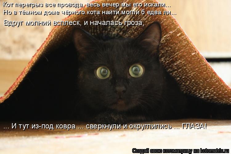 Котоматрица: Кот перегрыз все провода, весь вечер мы его искали... Но в тёмном доме чёрного кота найти могли б едва ли... ... И тут из-под ковра ... сверкнули и 