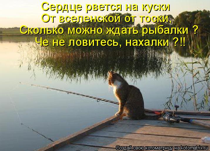 Стих про женщину рыбу Стих про женщину рыбу