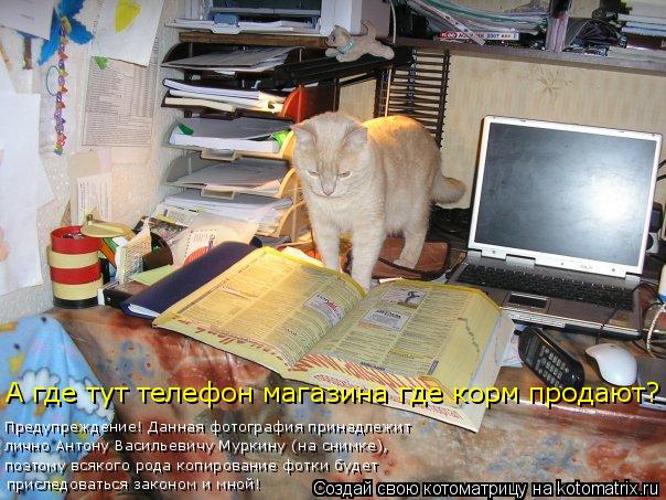 приследоваться законом и мной! поэтому всякого рода копирование фотки будет лично Антону Васильевичу ... Котоматрица: приследоваться законом и мной! поэтому всякого рода копирование фотки будет лично Антону Васильевичу Муркину (на снимке), Предупреждение!