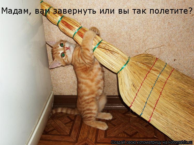 Мадам, вам завернуть или вы так полетите?... Котоматрица: Мадам, вам завернуть или вы так полетите?