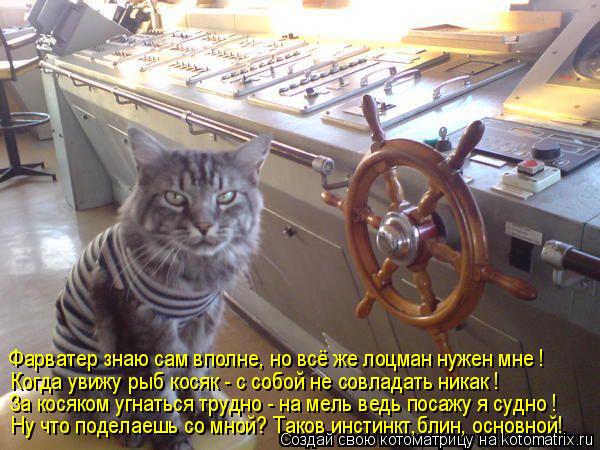 Фарватер знаю сам вполне, но всё же лоцман нужен мне ! Когда увижу рыб косяк - с собой не совладать н... Котоматрица: Фарватер знаю сам вполне, но всё же лоцман нужен мне ! Когда увижу рыб косяк - с собой не совладать никак ! За косяком угнаться трудно - на мель