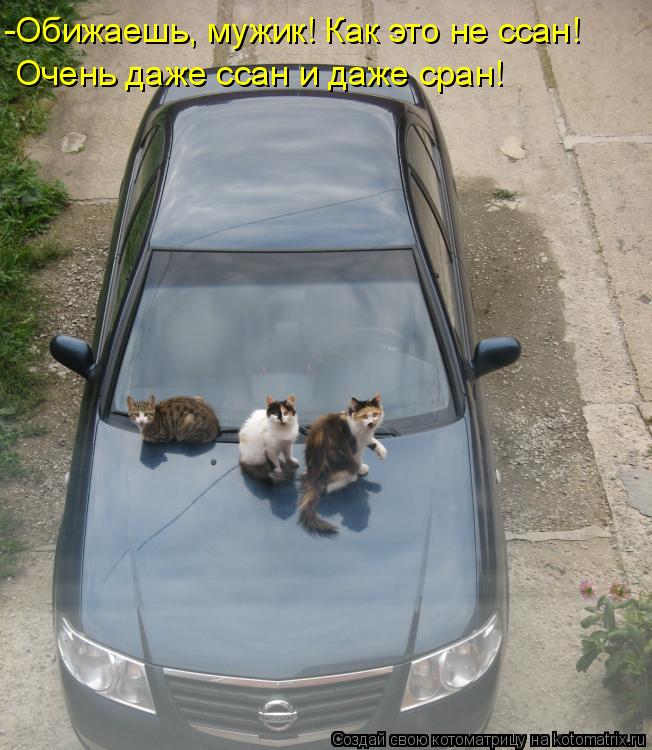 Котоматрица: -Обижаешь, мужик! Как это не ссан! Очень даже ссан и даже сран!