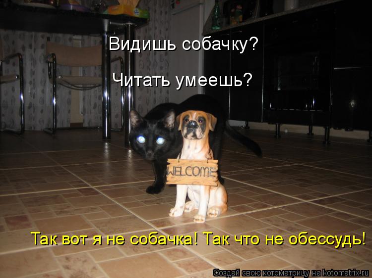 Так вот я не собачка! Так что не обессудь! Читать умеешь? Видишь собачку?... Котоматрица: Так вот я не собачка! Так что не обессудь! Читать умеешь? Видишь собачку?