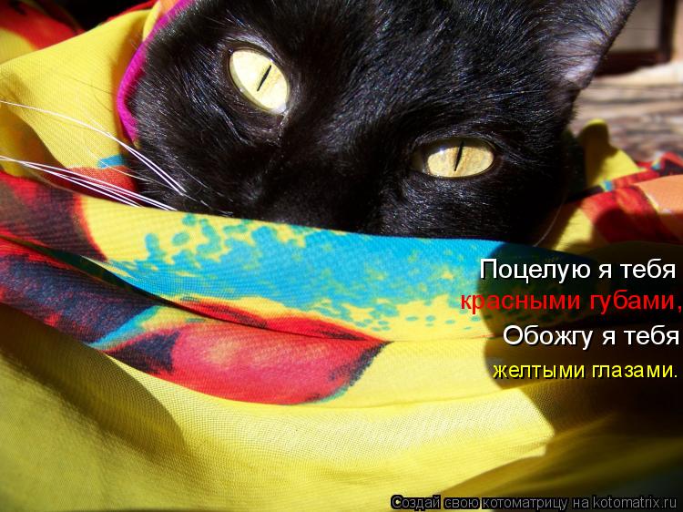 Котоматрица: Поцелую я тебя  красными губами, Обожгу я тебя желтыми глазами.