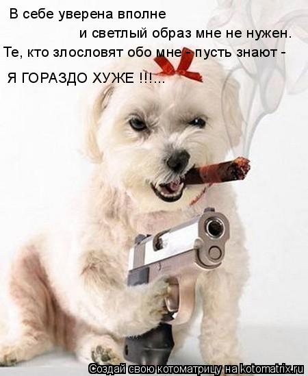 В себе уверена вполне и светлый образ мне не нужен. Те, кто злословят обо мне - пусть знают - Я ГО... Котоматрица: В себе уверена вполне и светлый образ мне не нужен. Те, кто злословят обо мне - пусть знают - Я ГОРАЗДО ХУЖЕ !!!...