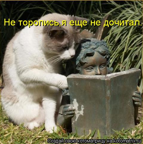 Котоматрица: Не торопись,я еще не дочитал..