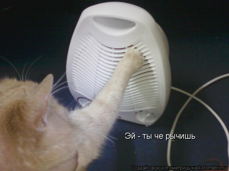 Котоматрица: Эй - ты че рычишь