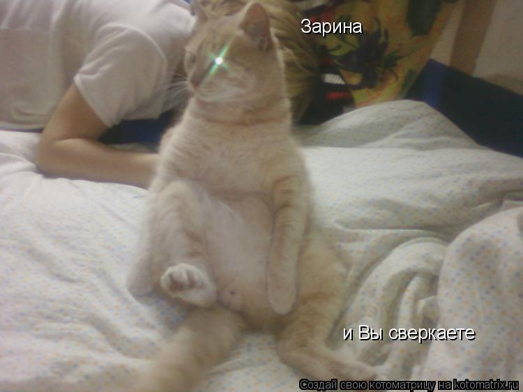 Котоматрица: Зарина и Вы сверкаете