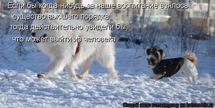 Котоматрица: Если бы когда-нибудь за наше воспитание взялось существо высшего порядка, тогда действительно увидели бы, что может выйти из человека.