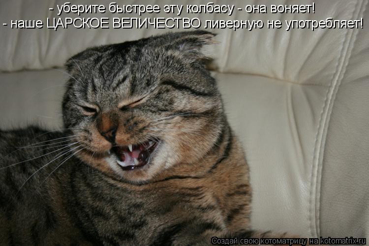 Котоматрица: - уберите быстрее эту колбасу - она воняет! - наше ЦАРСКОЕ ВЕЛИЧЕСТВО ливерную не употребляет!