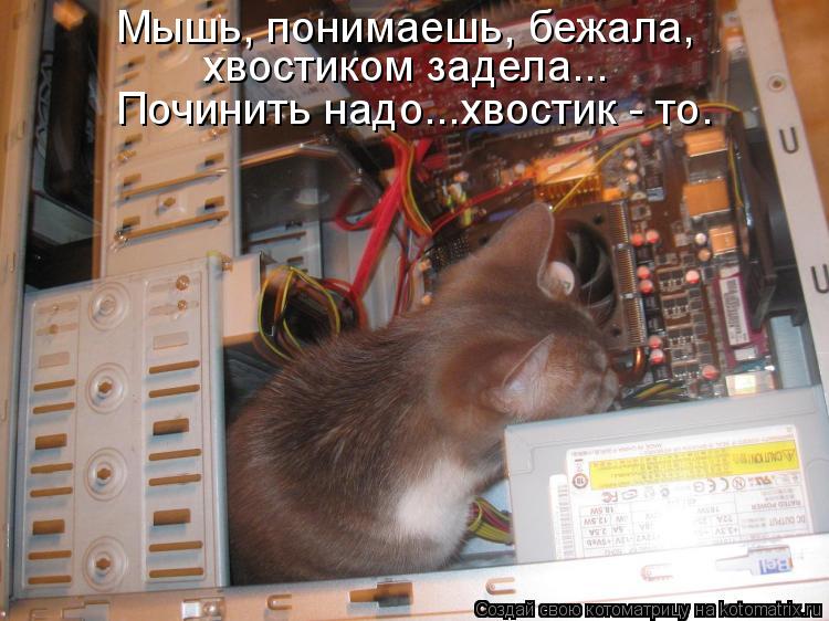 Котоматрица: Мышь, понимаешь, бежала, хвостиком задела... Починить надо...хвостик - то.
