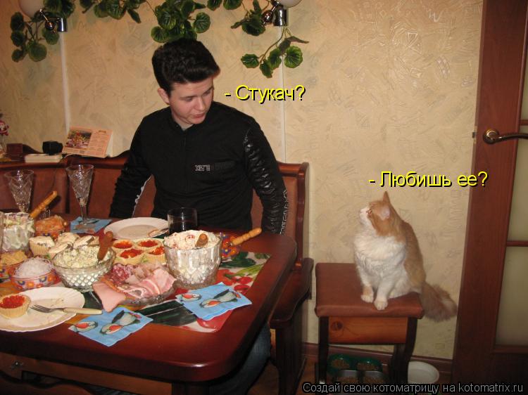 Котоматрица: - Любишь ее? - Стукач?