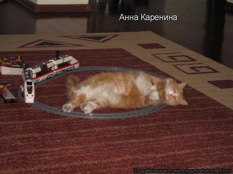 Котоматрица: Анна Каренина