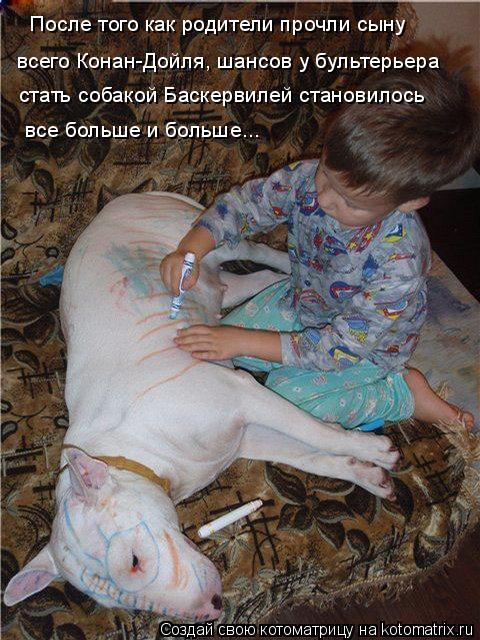 После того как родители прочли сыну всего Конан-Дойля, шансов у бультерьера стать собакой Баскервил... Котоматрица: После того как родители прочли сыну всего Конан-Дойля, шансов у бультерьера стать собакой Баскервилей становилось все больше и больше...