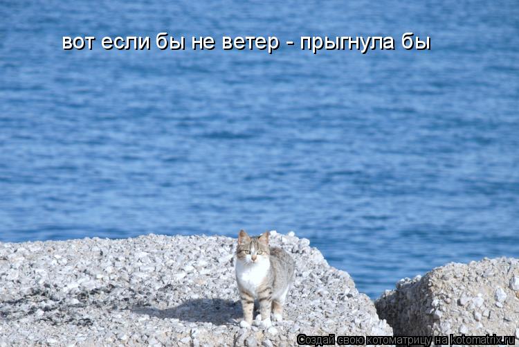 Котоматрица: вот если бы не ветер - прыгнула бы