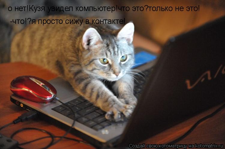 Котоматрица: о нет!Кузя увидел компьютер!что это?только не это! -что!?я просто сижу в контакте!