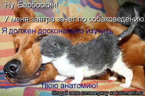 Котоматрица: Ну  Барбоскин!   У меня завтра зачет по собаковедению. Я должен досконально изучить твою анатомию!