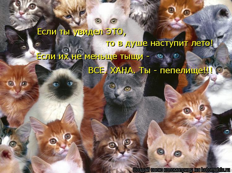 Котоматрица: Если ты увидел ЭТО,  то в душе наступит лето! Если их не меньще тыщи -  ВСЕ. ХАНА. Ты - пепелище!!!