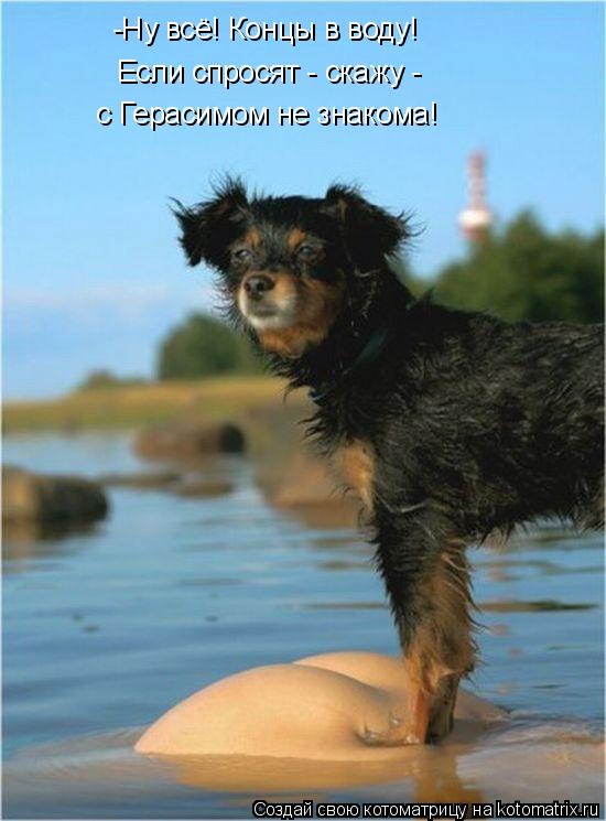 Котоматрица: -Ну всё! Концы в воду! Если спросят - скажу - с Герасимом не знакома!