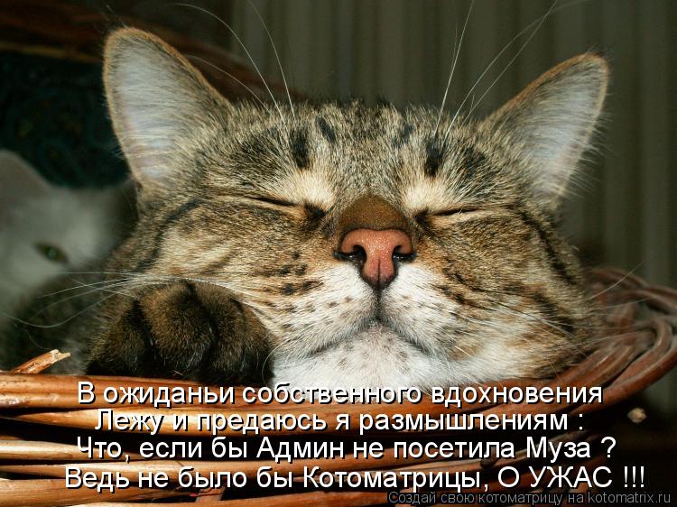 В ожиданьи собственного вдохновения Лежу и предаюсь я размышлениям : Что, если бы Админ не посетила М... Котоматрица: В ожиданьи собственного вдохновения Лежу и предаюсь я размышлениям : Что, если бы Админ не посетила Муза ? Ведь не было бы Котоматрицы, О УЖА