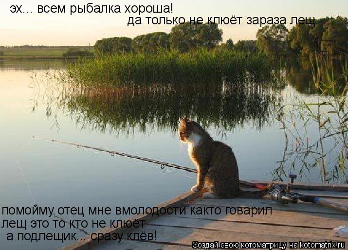 эх... всем рыбалка хороша! да только не клюёт зараза лещ помойму отец мне вмолодости както говарил ле... Котоматрица: эх... всем рыбалка хороша! да только не клюёт зараза лещ помойму отец мне вмолодости както говарил лещ это то кто не клюёт а подлещик... сразу