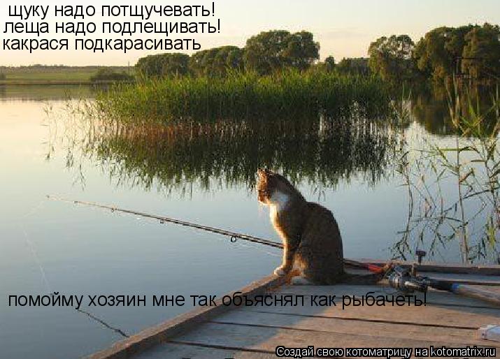 щуку надо потщучевать! леща надо подлещивать! какрася подкарасивать помойму хозяин мне так объяснял к... Котоматрица: щуку надо потщучевать! леща надо подлещивать! какрася подкарасивать помойму хозяин мне так объяснял как рыбачеть!