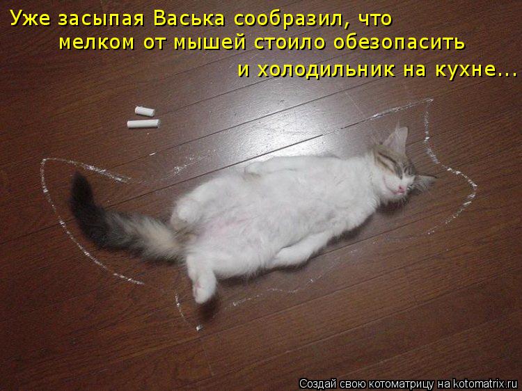 Уже засыпая Васька сообразил, что мелком от мышей стоило обезопасить и холодильник на кухне...... Котоматрица: Уже засыпая Васька сообразил, что мелком от мышей стоило обезопасить и холодильник на кухне...