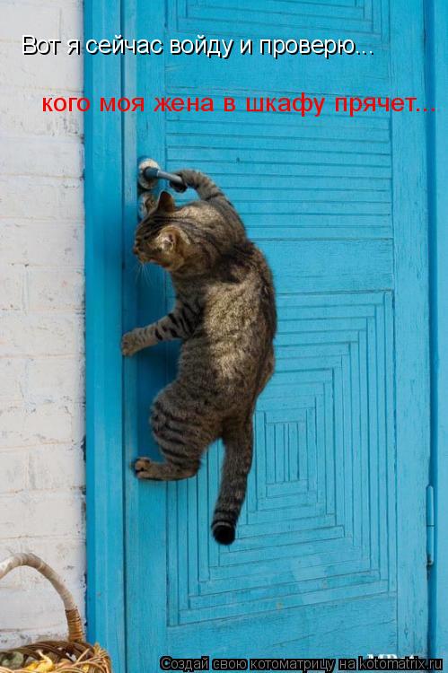 Котоматрица: Вот я сейчас войду и проверю... кого моя жена в шкафу прячет...