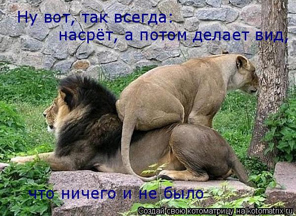 Котоматрица: Ну вот, так всегда: насрёт, а потом делает вид, что ничего и не было