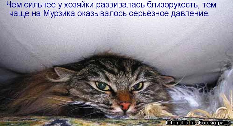Котоматрица: Чем сильнее у хозяйки развивалась близорукость, тем  чаще на Мурзика оказывалось серьёзное давление.