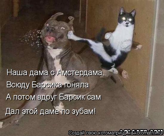 Наша дама с Амстердама, Всюду Барсика гоняла А потом вдруг Барсик сам Дал этой даме по зубам!... Котоматрица: Наша дама с Амстердама, Всюду Барсика гоняла А потом вдруг Барсик сам Дал этой даме по зубам!