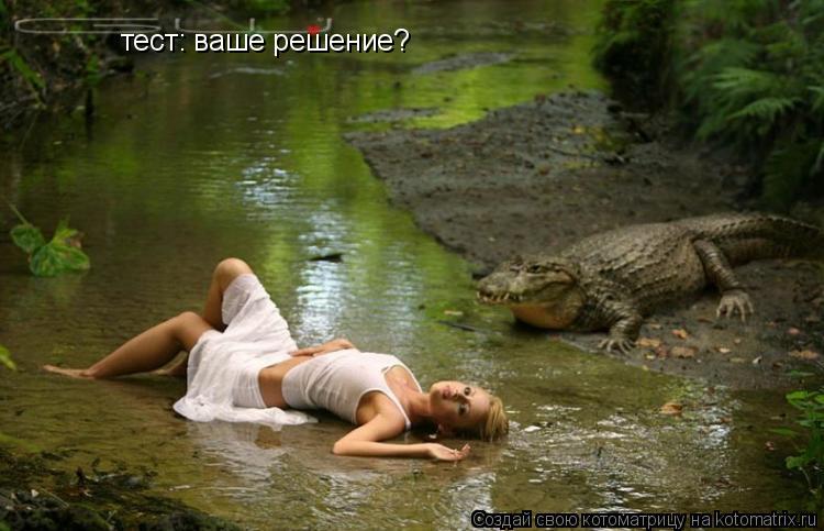 Котоматрица: тест: ваше решение?