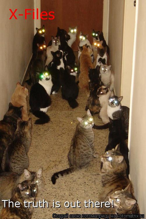 Котоматрица: X-Files The truth is out there!