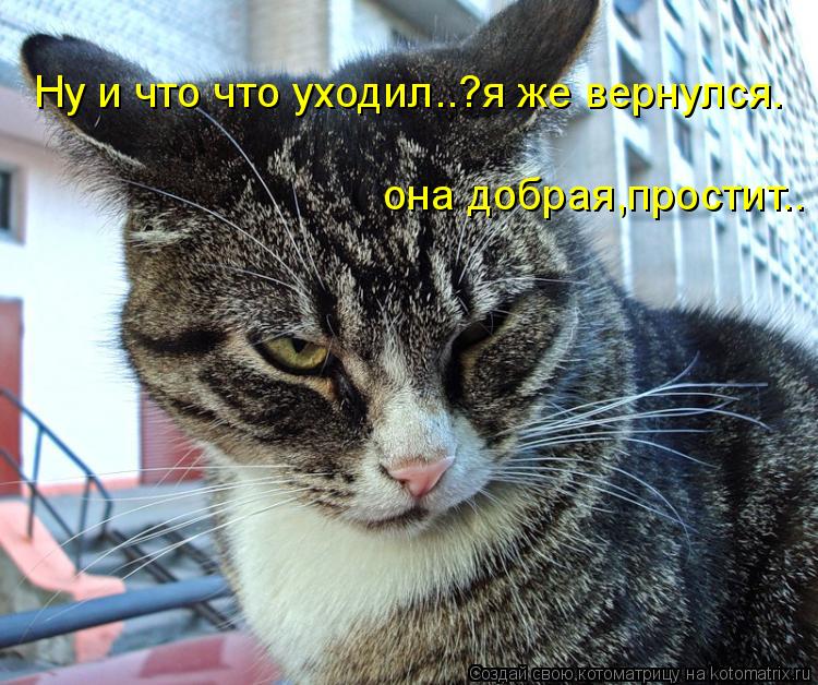 Ну и что что уходил..?я же вернулся. она добрая,простит..... Котоматрица: Ну и что что уходил..?я же вернулся. она добрая,простит..