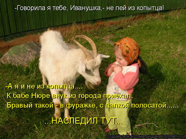 -Говорила я тебе, Иванушка,- не пей из копытца! -А я и не из копытца.... К бабе Нюре внук из города п... Котоматрица: -Говорила я тебе, Иванушка,- не пей из копытца! -А я и не из копытца.... К бабе Нюре внук из города приехал. Бравый такой - в фуражке, с палкой поло