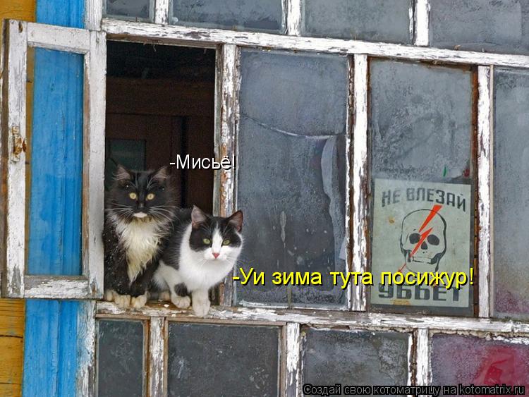 Котоматрица: -Мисьё! -Уи зима тута посижур!