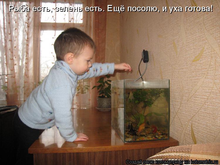 Котоматрица: Рыба есть, зелень есть. Ещё посолю, и уха готова!